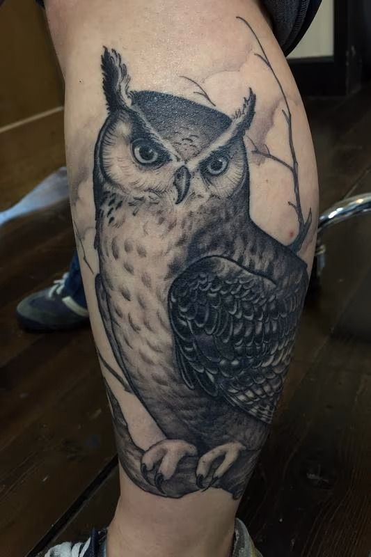 Black and Grey Owl cover up