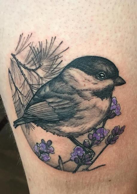 Chickadee