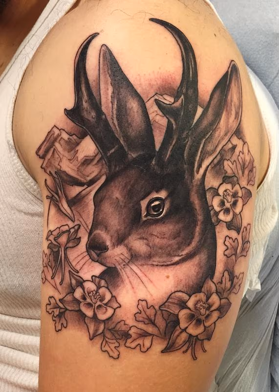Jackalope