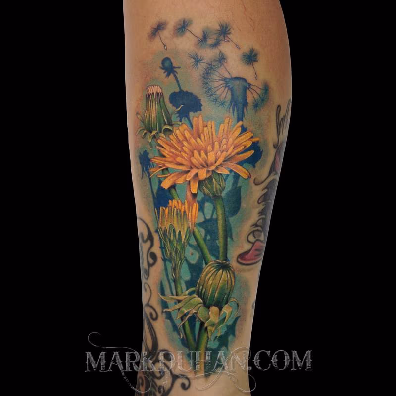 DANDELION