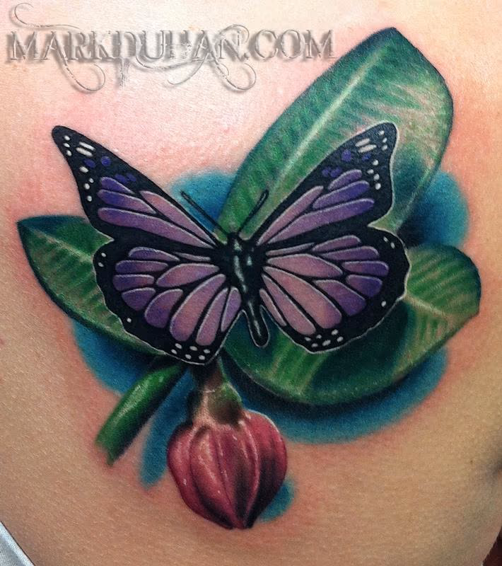 BUTTERFLY