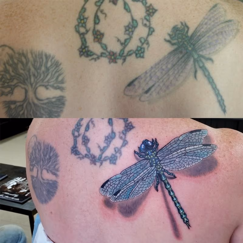 DRAGONFLY REDO