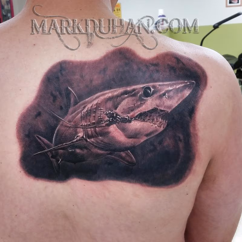 MAKO SHARK