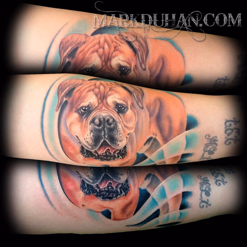 DOG