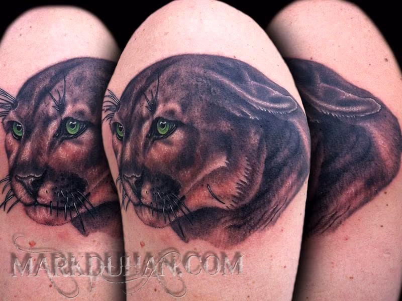 COUGAR
