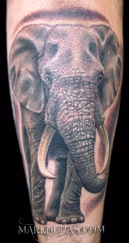 ELEPHANT