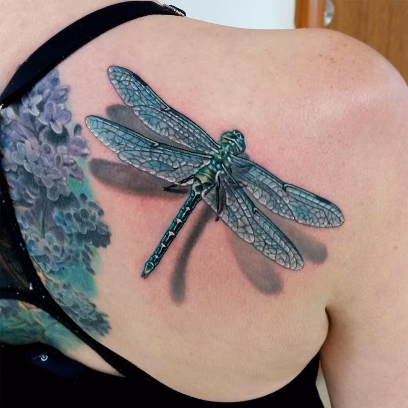 DRAGONFLY