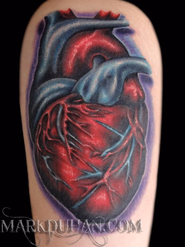 ANATOMICAL HEART