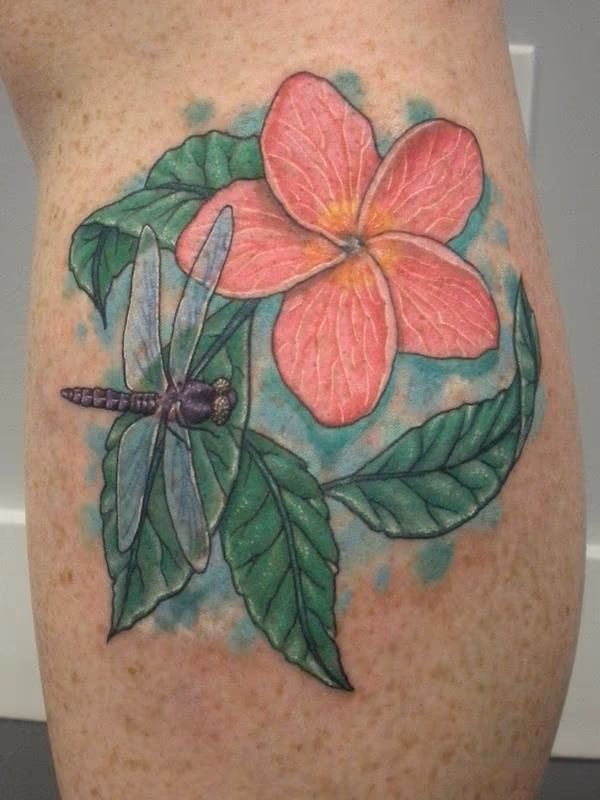 GRAGONFLY
