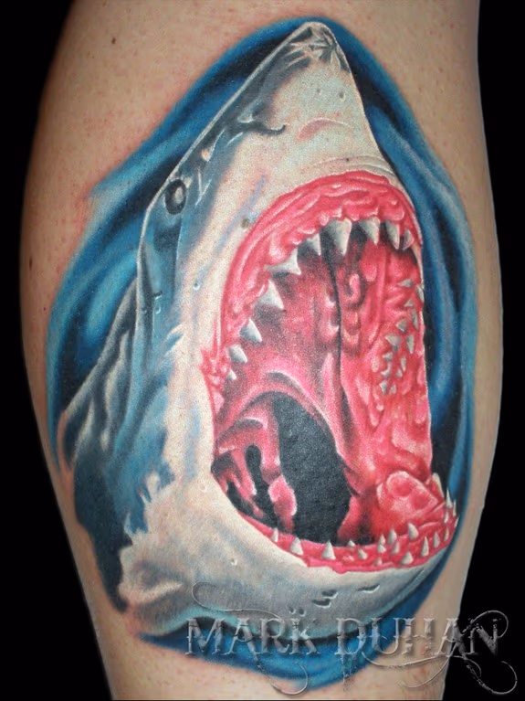 SHARK