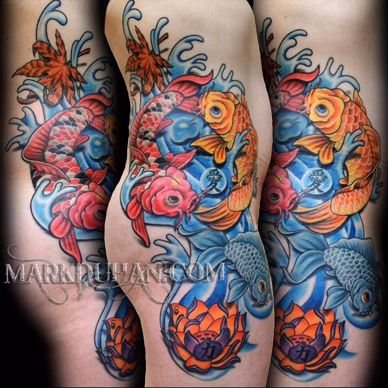 KOI RIBS