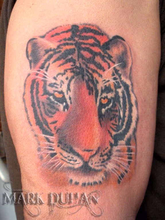 TIGER