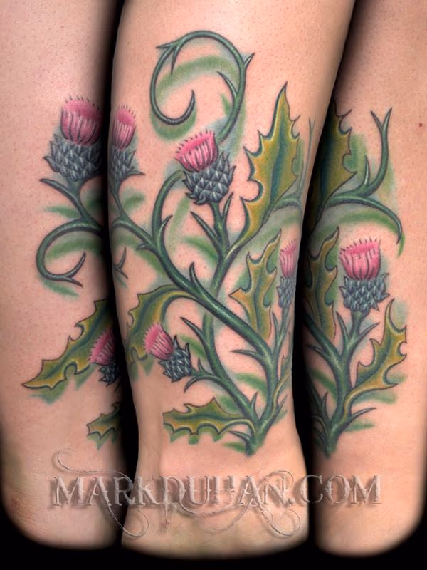 THISTLE