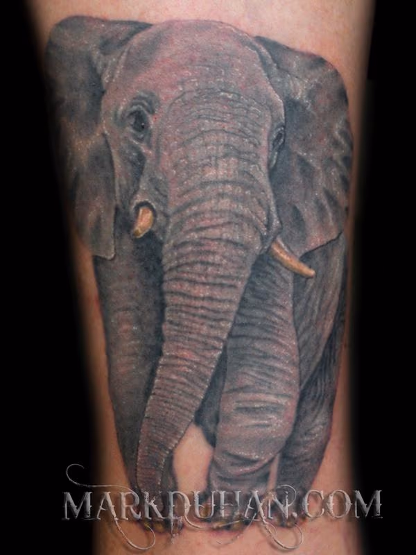 ELEPHANT