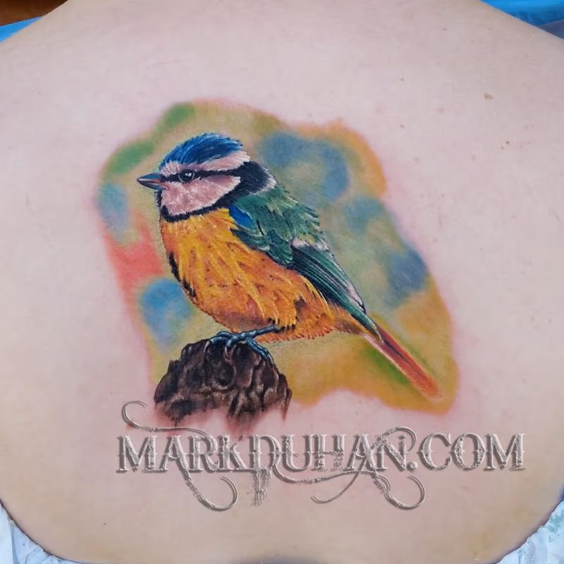 CUTE LITTLE BIRD
