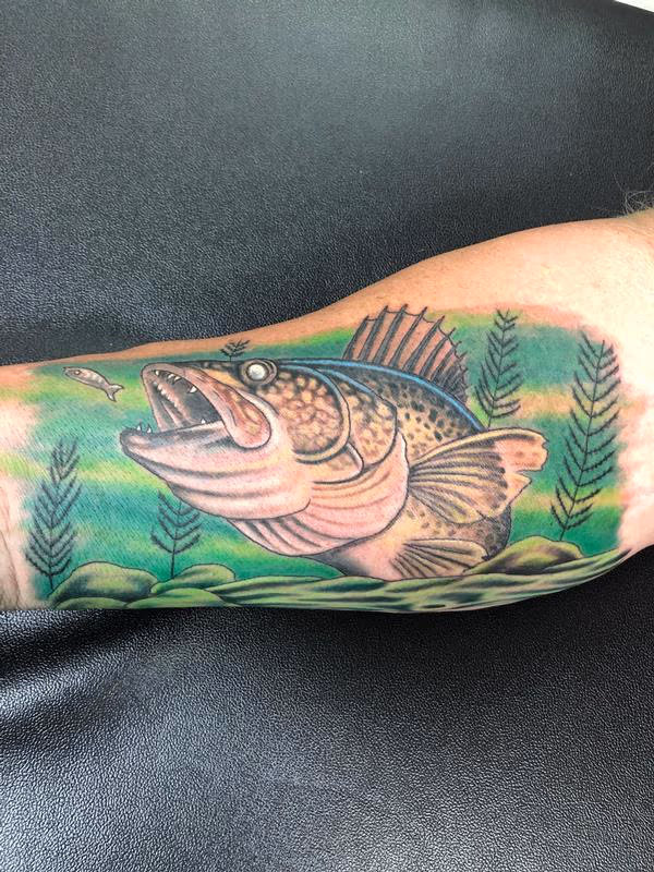 Walleye