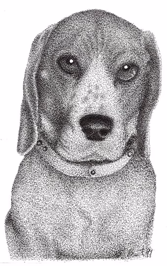 Pointilism, Beagle Dog
