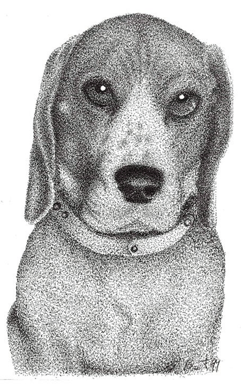 Pointilism, Beagle Dog
