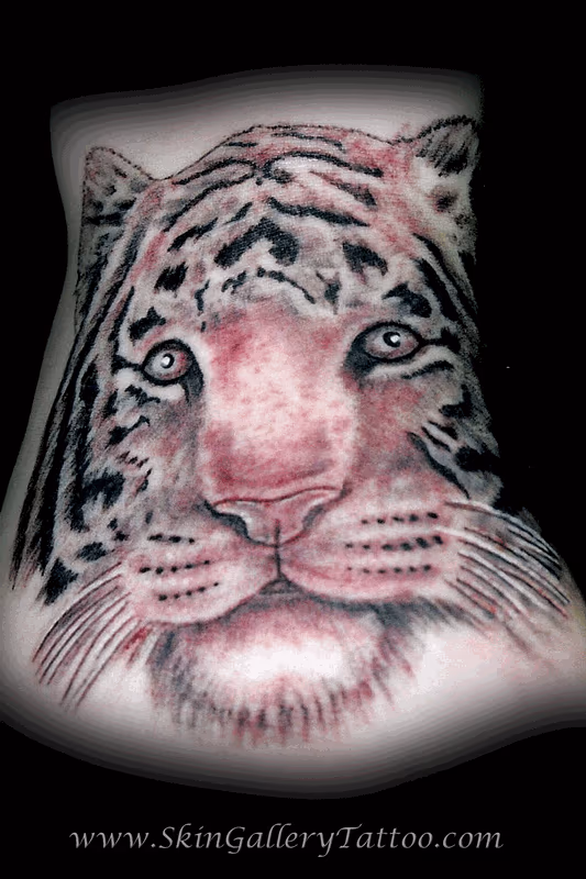 Black and Grey Tiger