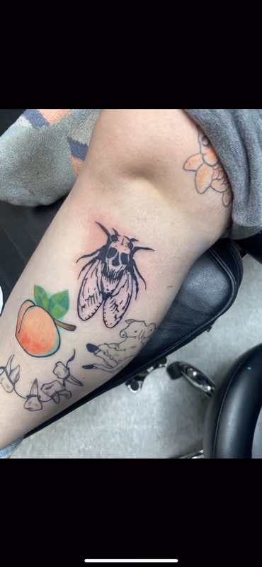 By Izzy