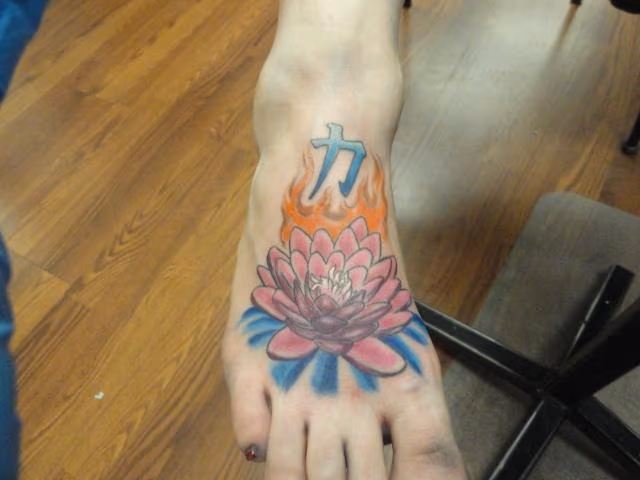 Color Lotus