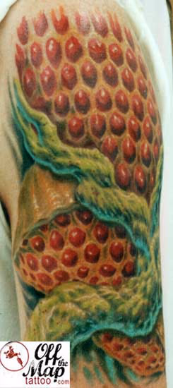 Bio-Honeycomb