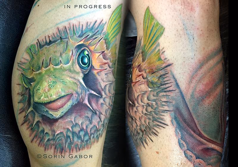 In progress color realistic blowfish tattoo on leg
