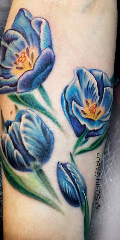 Blue Tulips