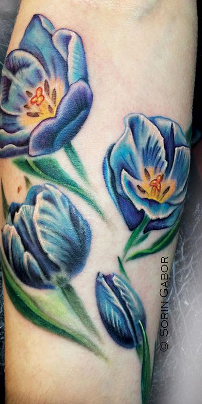 Blue Tulips