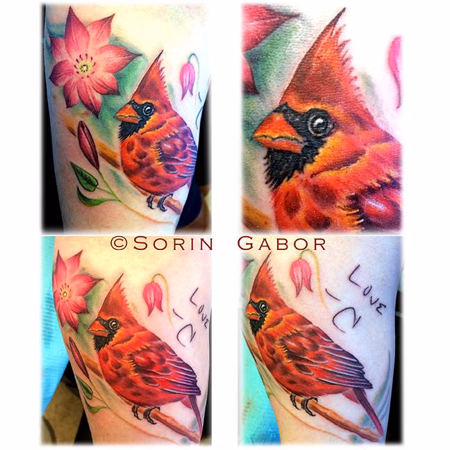 Realistic color cardinal memorial tattoo on forearm