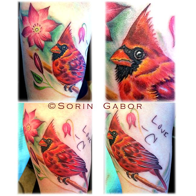 Realistic color cardinal memorial tattoo on forearm