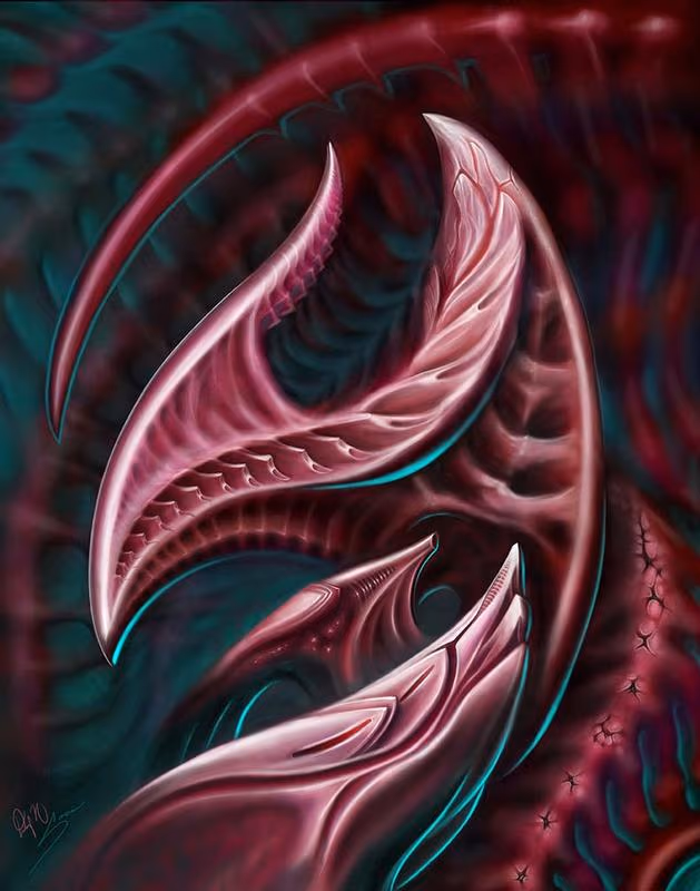 Digital bio collab Sorin Gabor and Doug Nedzesky
