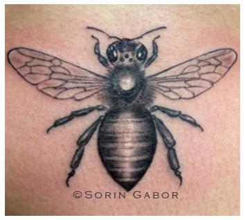 black and gray realistic bee on sternum