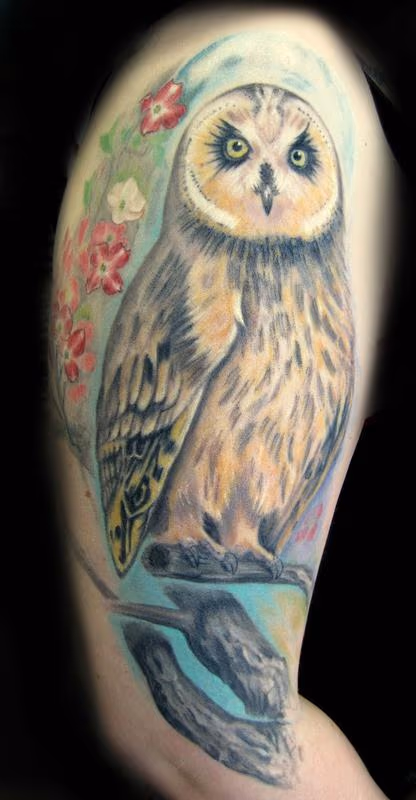 Owl