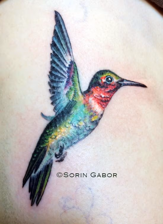 realistic color hummingbird tattooon ribs