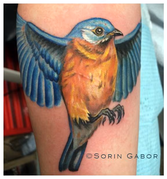 feminine realistic color blue bird on arm