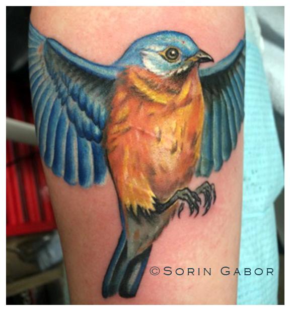 feminine realistic color blue bird on arm