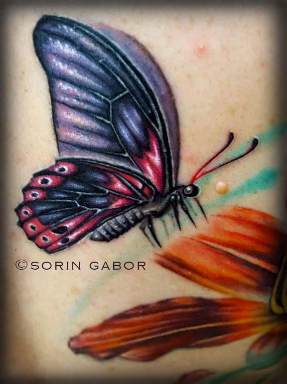 Realistic color feminine butterfly tattoo