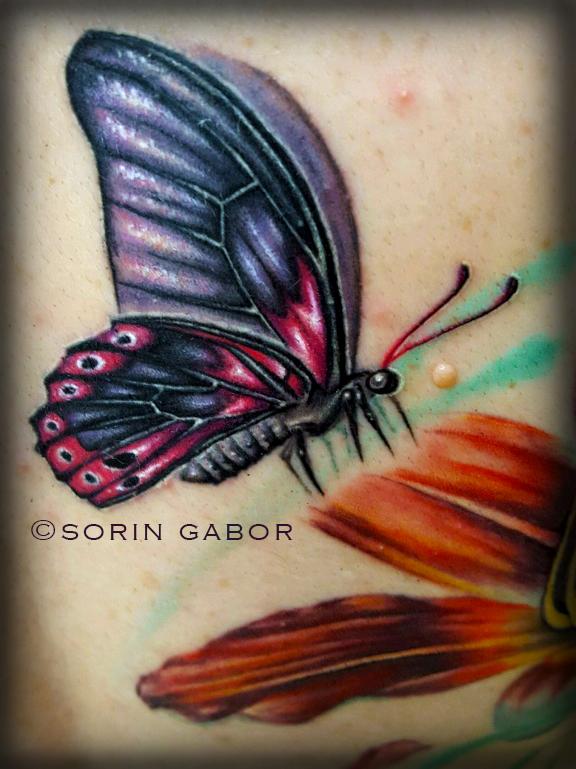 Realistic color feminine butterfly tattoo