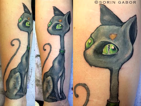 Illustrative color Vincent cat