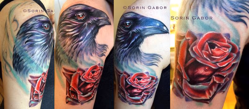 Realistc color raven and rose tattoo on shoulder