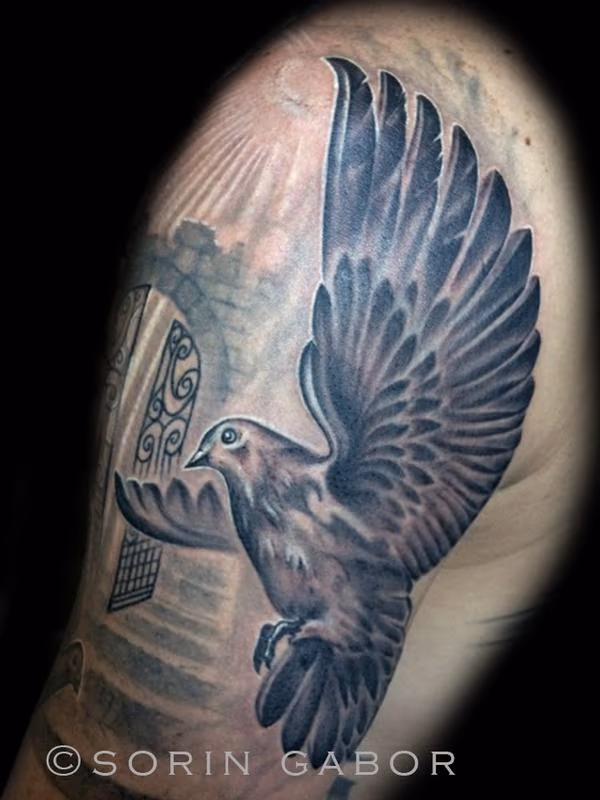 Realistic black and gray dove with rays and clouds