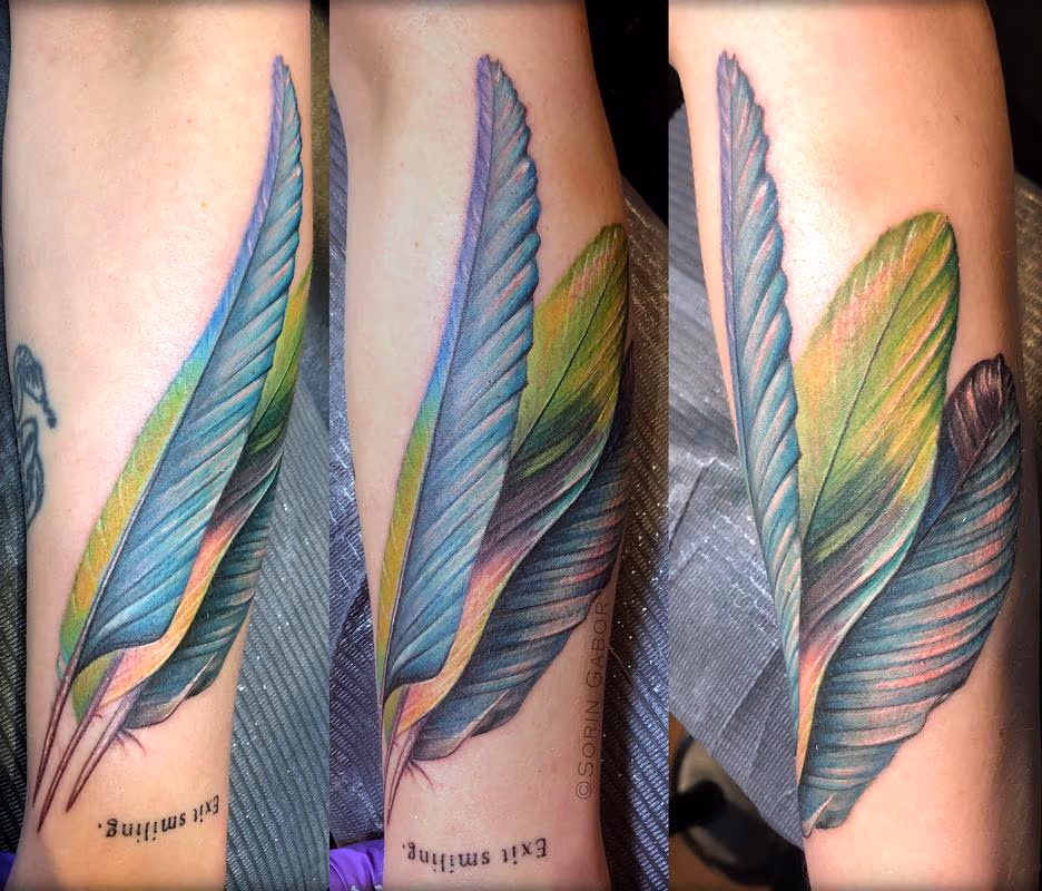 Colorful feathers