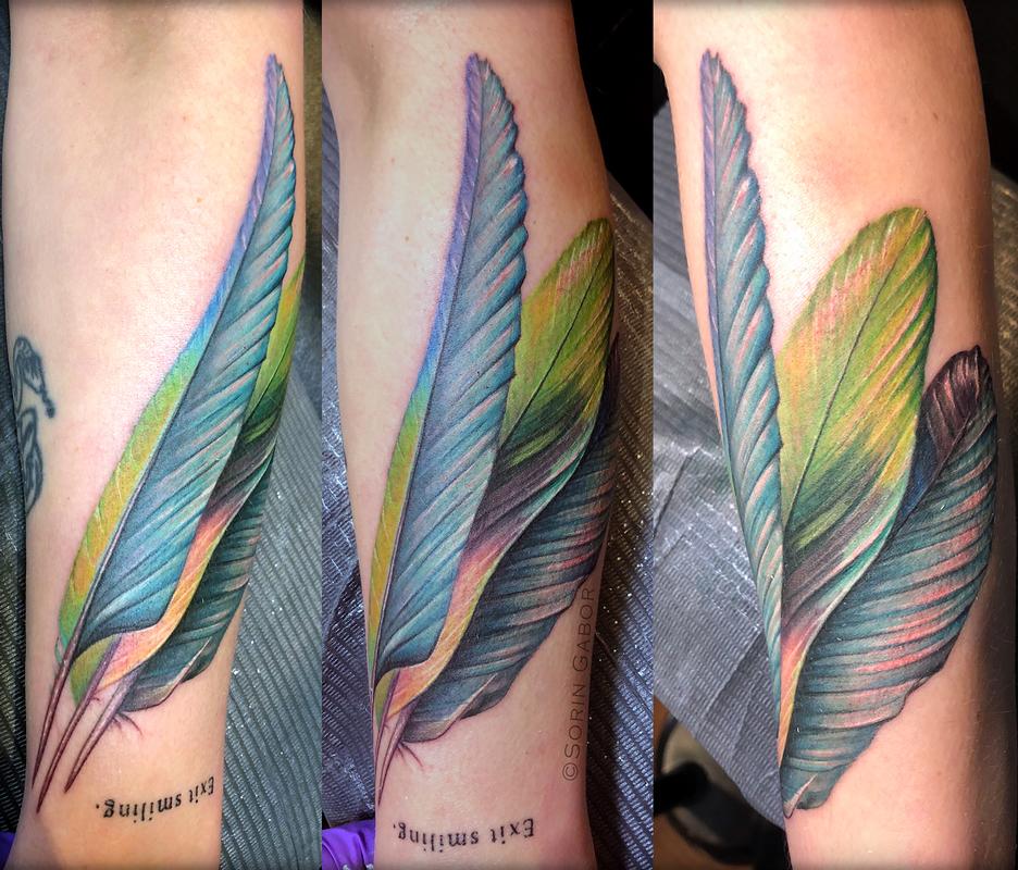 Colorful feathers