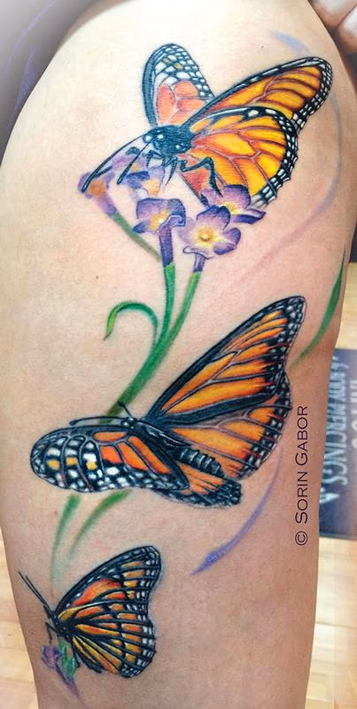 Realistic color monarch butterfly tattoo on thigh