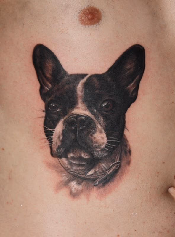 realistic tattoo of my clients dog..