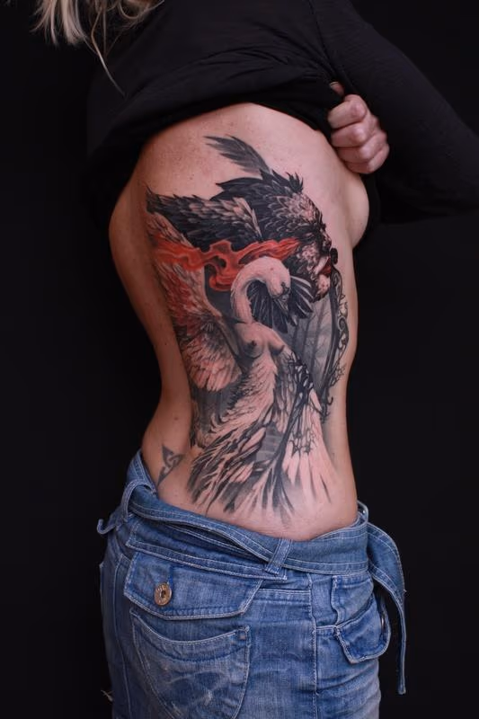 Black swan/White swan finished piece not healed