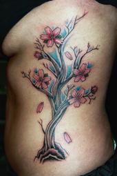 Cherry Blossom Tree