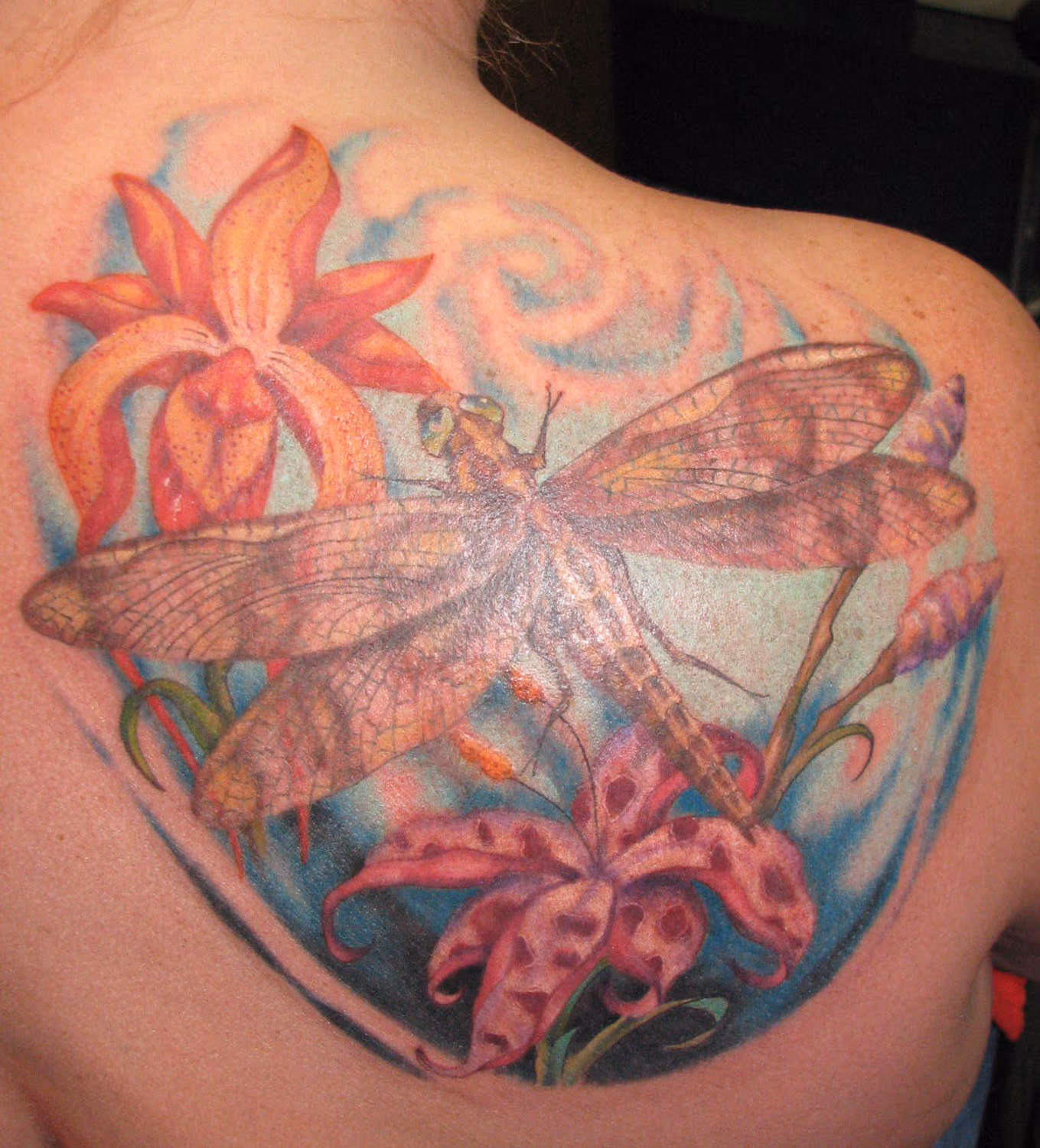 dragon fly and flowers