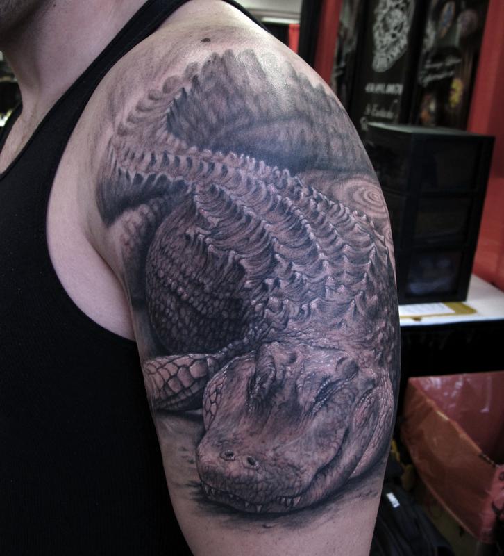 Alligator